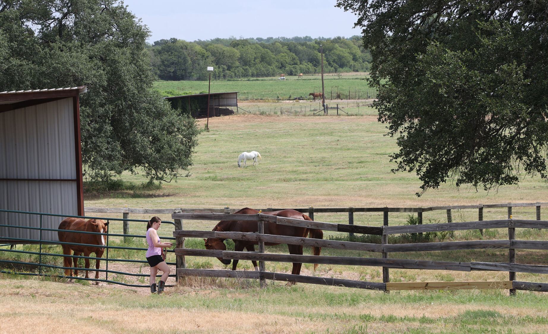 MCC board votes to bolster Highlander Ranch programs