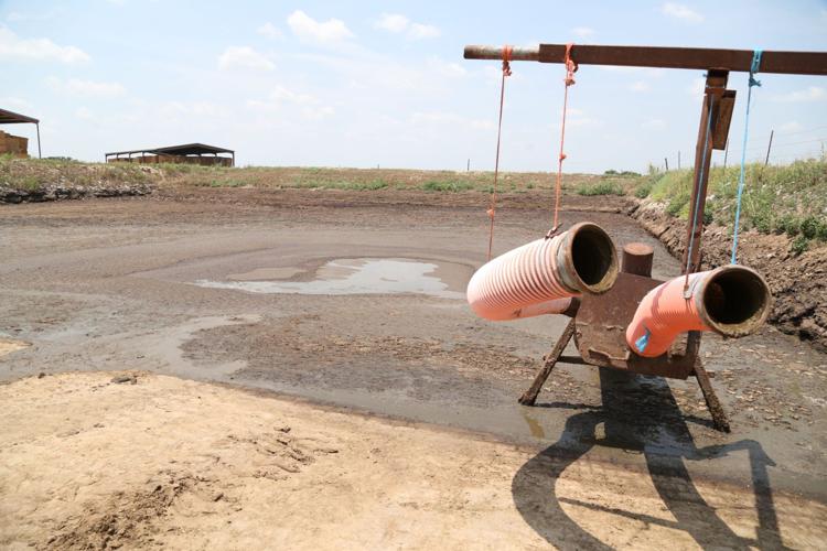 Bosque River dairies, Waco officials seeing progress, trust on water