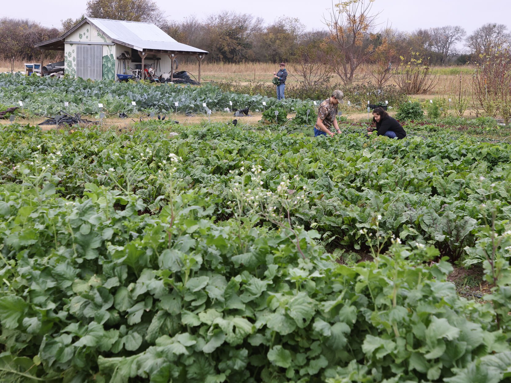 Waco-area News Briefs: Farm-to-table Dinner Benefits World Hunger Relief