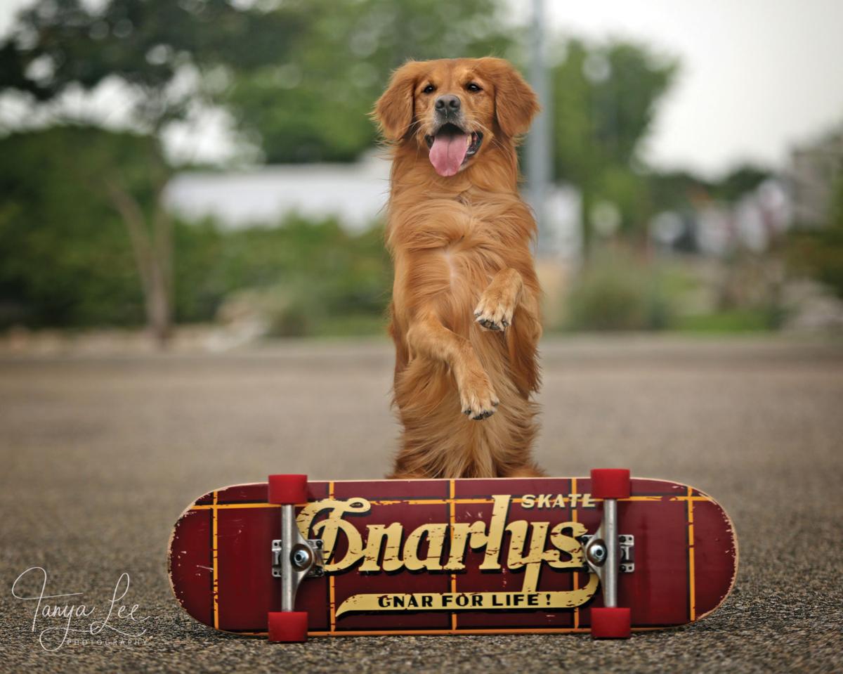 AT Gryff skateboard.jpg