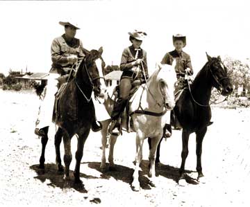 Appaloosa horse] - The Portal to Texas History