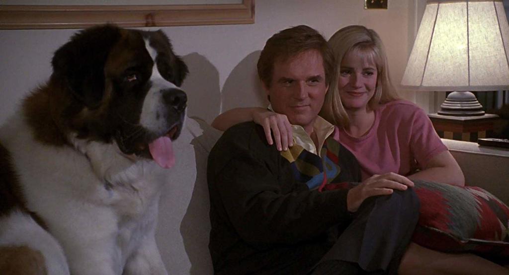 From Old Yeller To Up The Dog Dies At The End And The 10 Other Types Of Dog Movies Trending Wacotrib Com