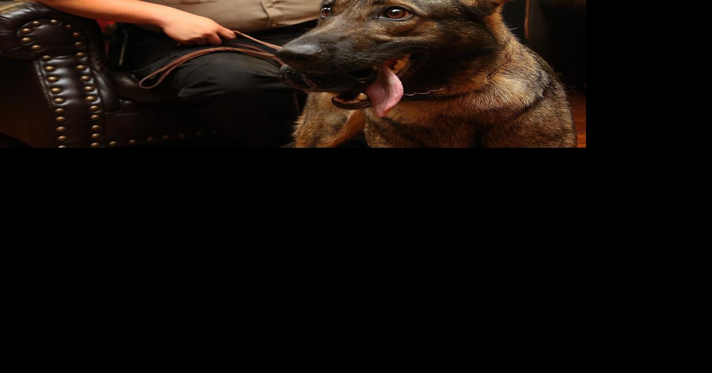 Sheriff’s office gets new drug dog, handler