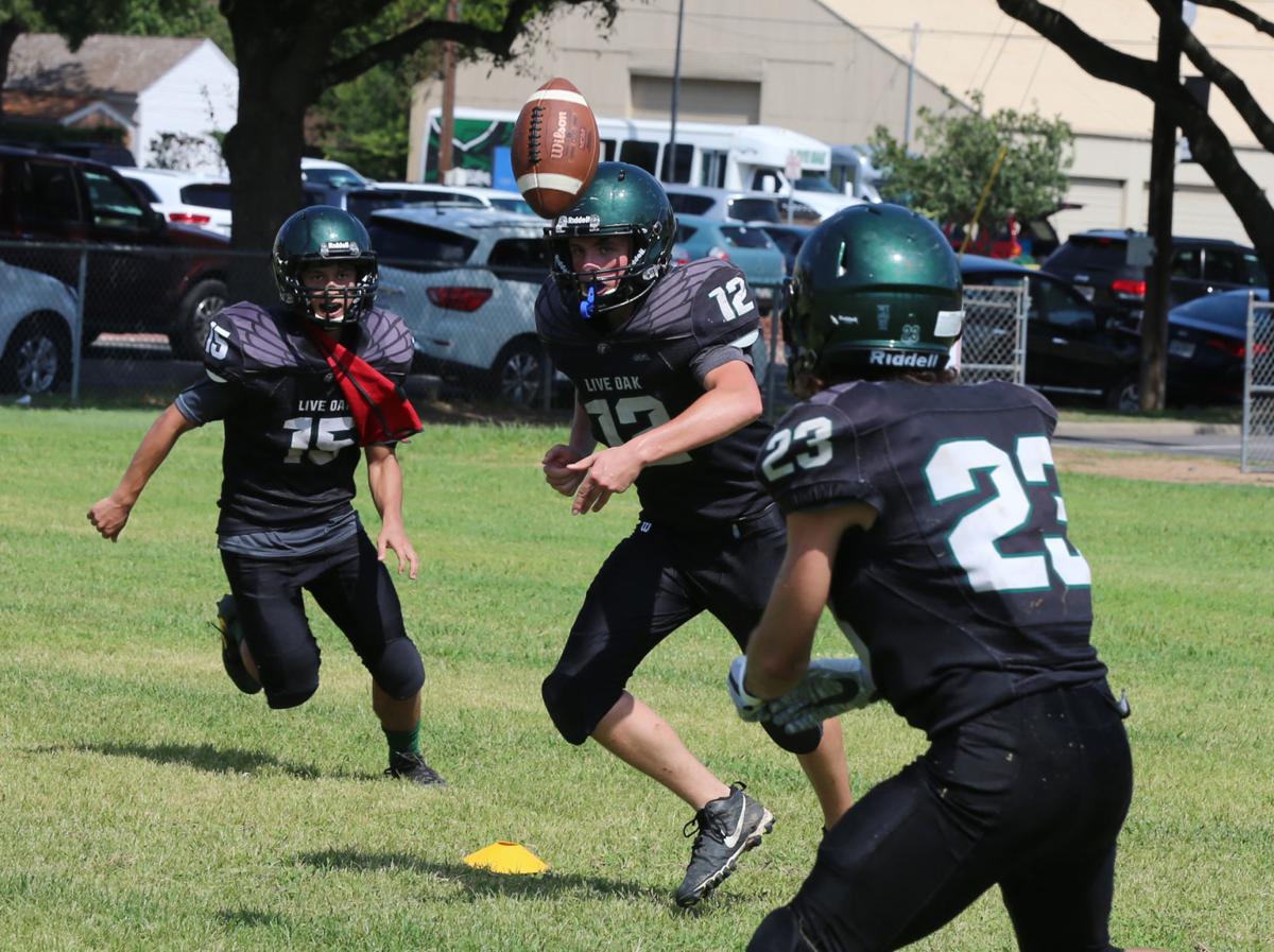 Same, but different Live Oak's new era bears resemblance to previous