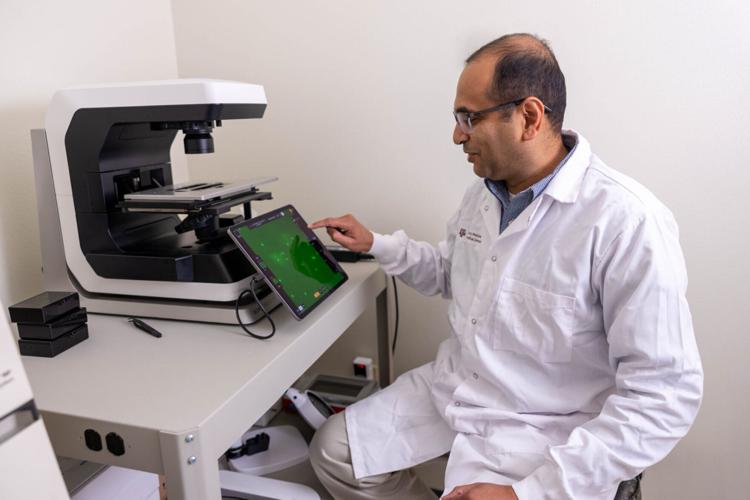 Researchers advance promising therapy for fatty liver disease