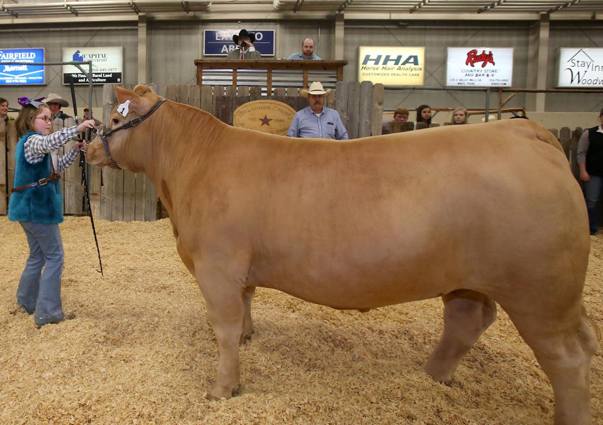Livestock Fair Wacotrib Com