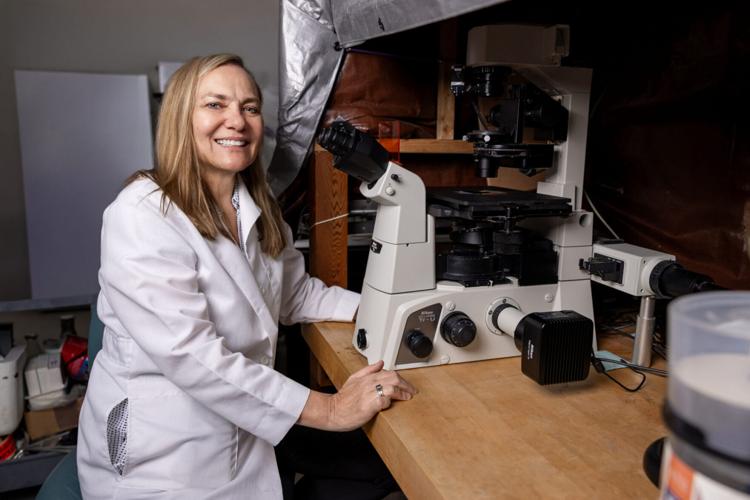 Healing where it hurts: Researchers develop a new approach for treating wounds