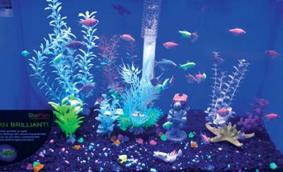 How many aquatic fish are held in a public aquarium