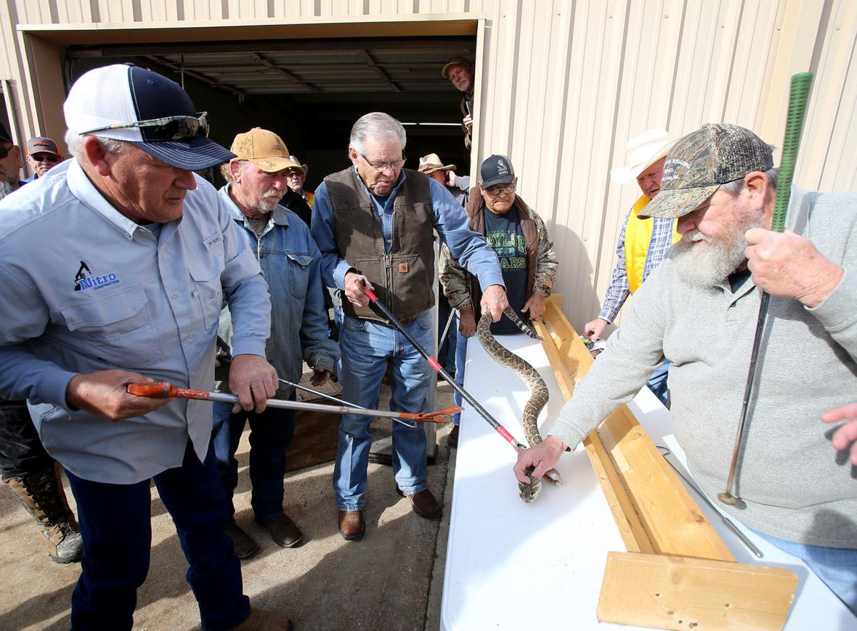 Oglesby Rattlesnake Roundup kicks off 50th year Local News