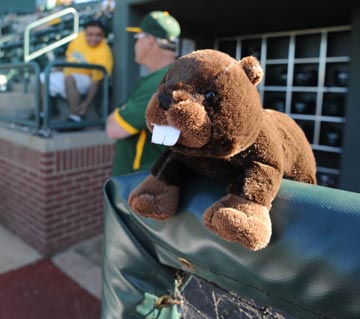 Who Will Rally for the Rally Monkey?, The Mascots' Tribune