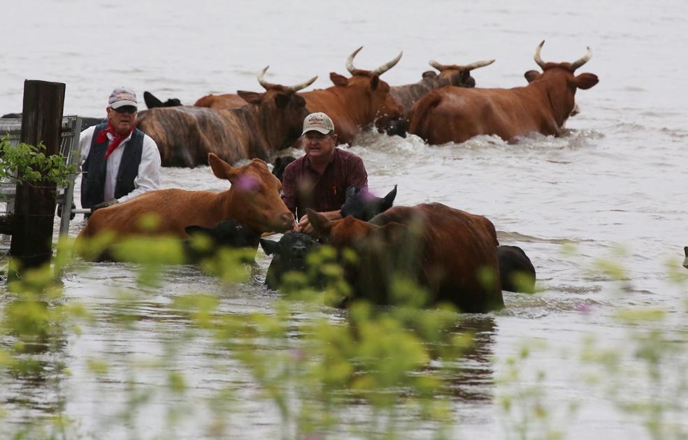 danger letters 3 sign drought replace Texas rains Central Heavy waterlogged: