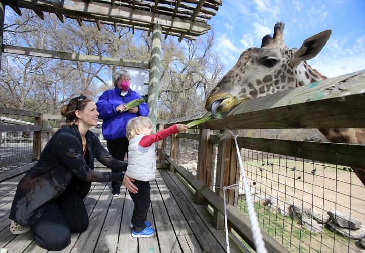 Zoo fixtures depart amid strife between zoo supporters, city leadership