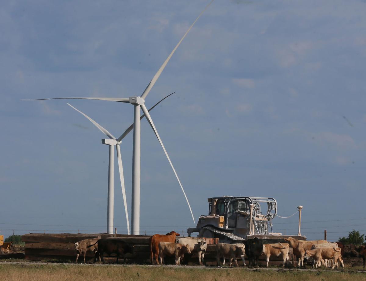 Mart wind