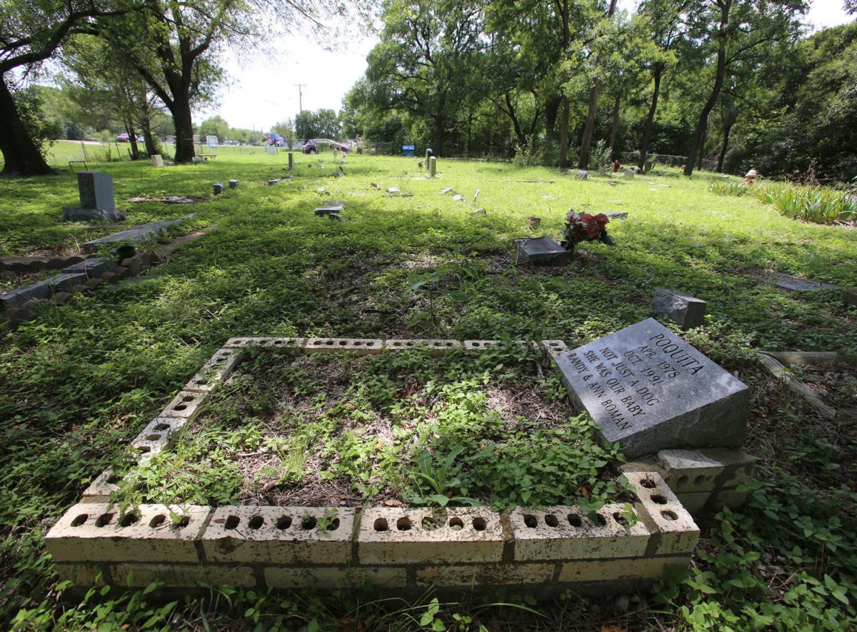 Sleepy Hollow Pet Cemetery Offers Place To Remember Lost