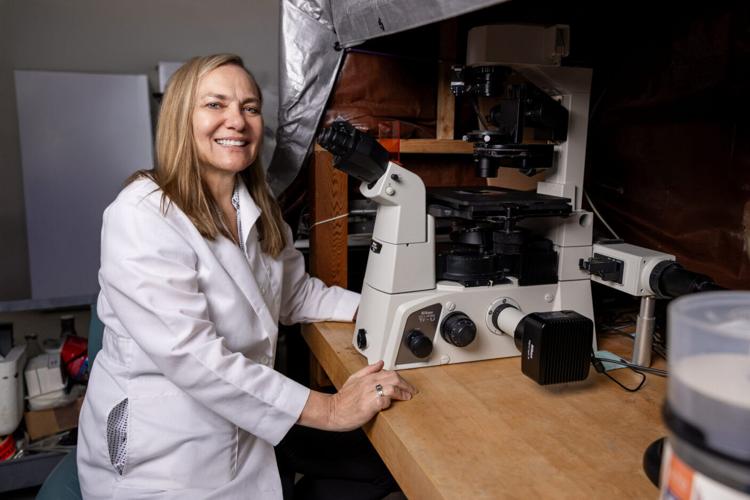 Healing where it hurts: Researchers develop a new approach for treating wounds