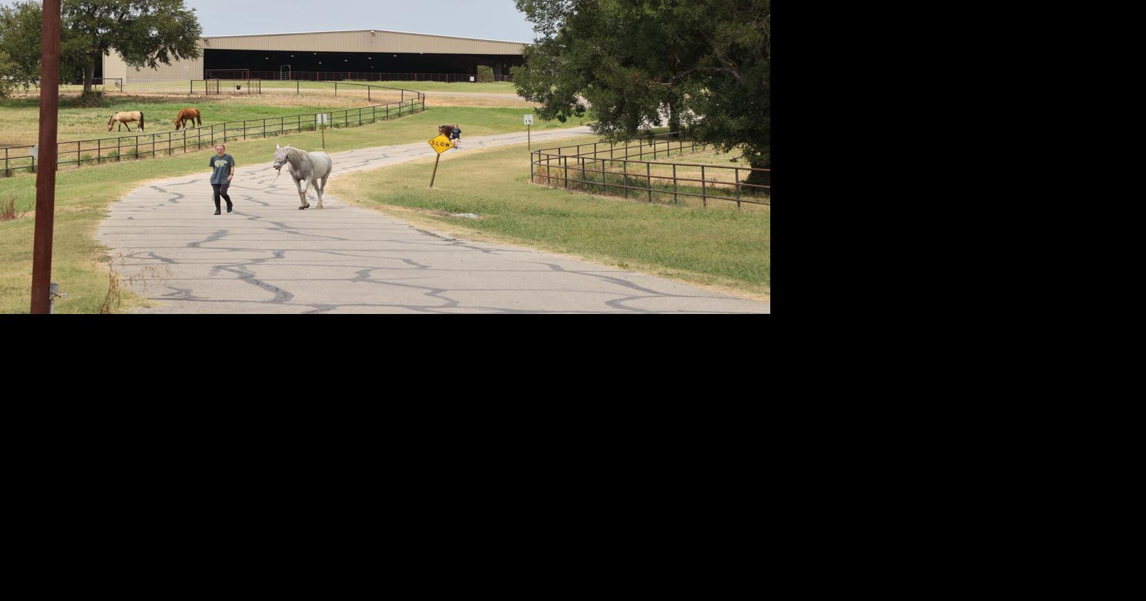 Waco-area news briefs: Two Highlander Ranch horse show series to start ...
