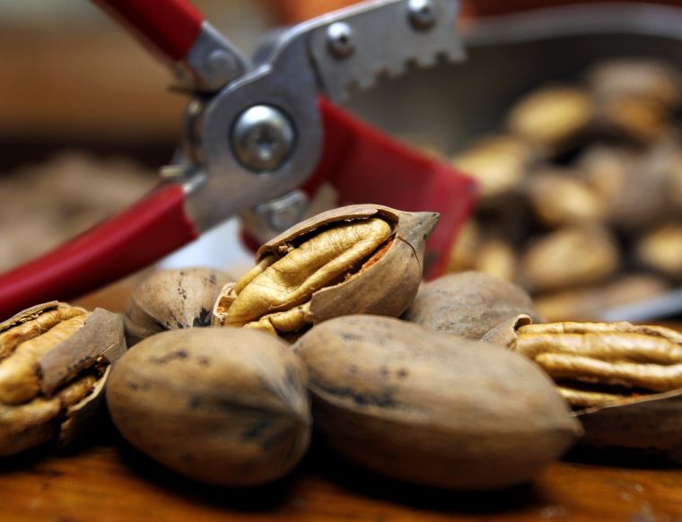 Local pecan prices rising because of low yield Business