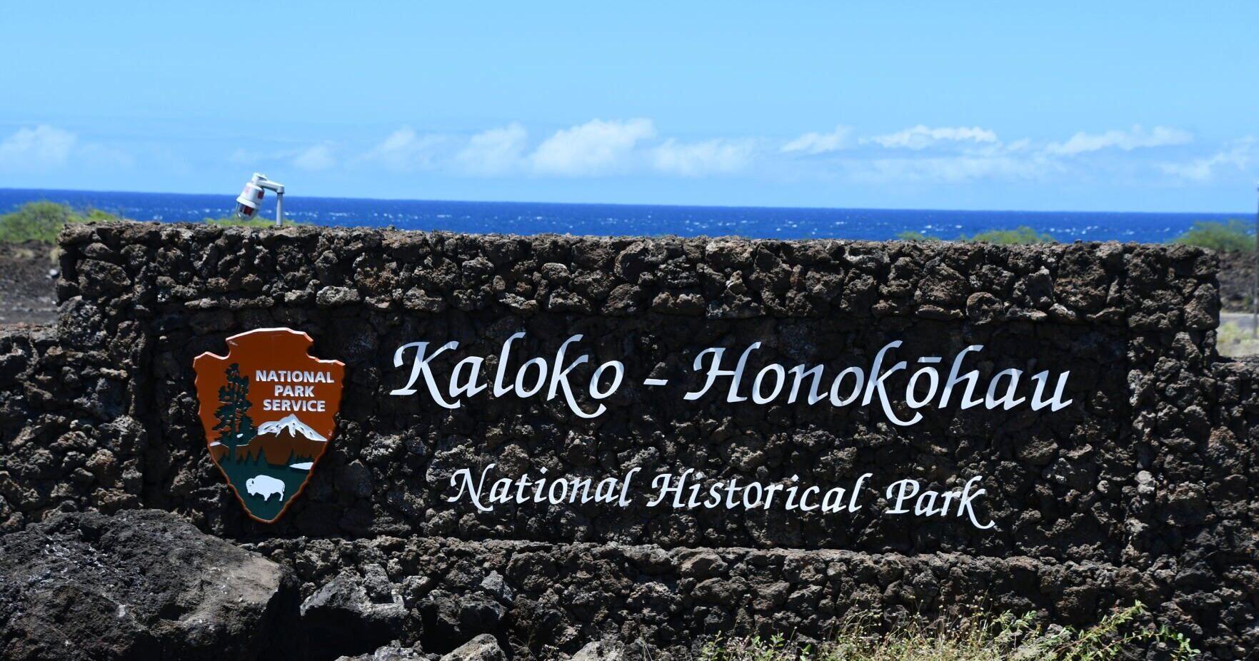 Taking the kids: And heading to less visited national parks - Vimarsana News