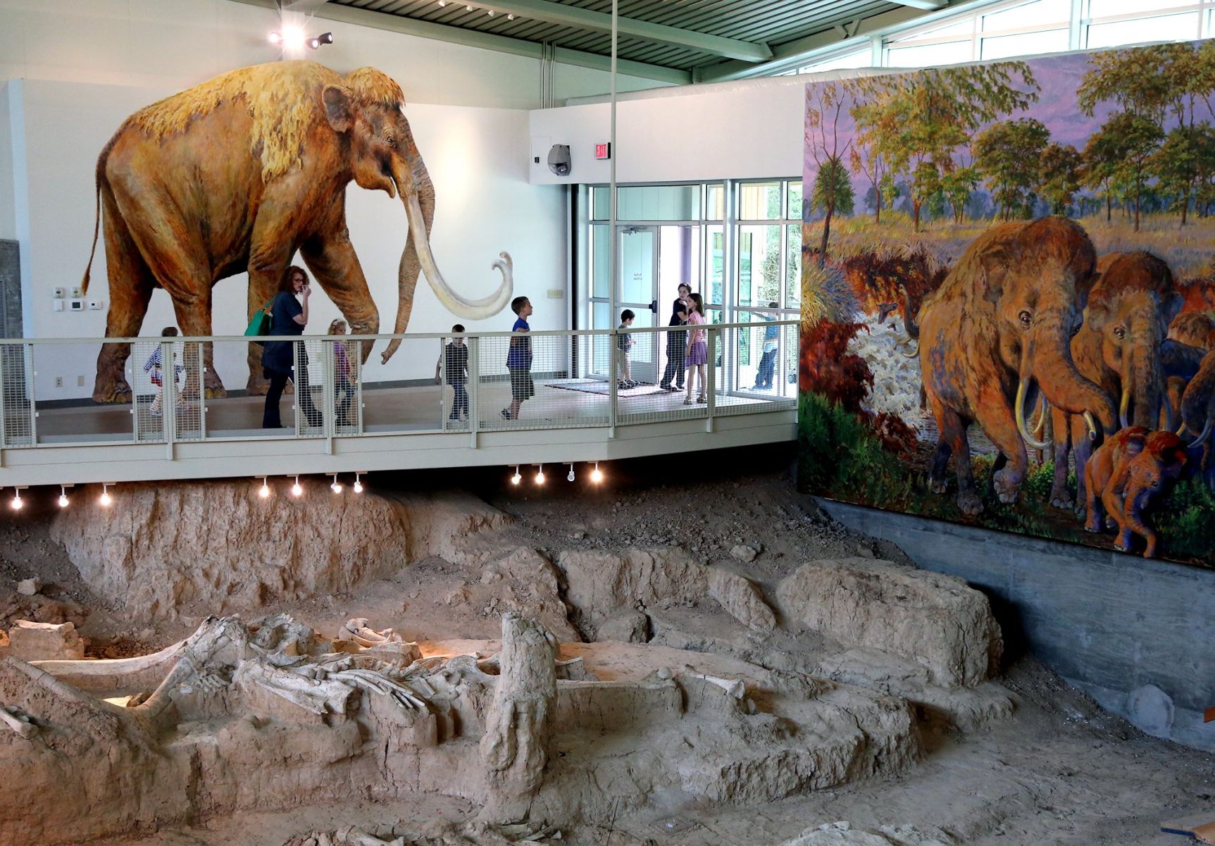 National Park Service chief to visit Waco Mammoth Site - WacoTrib.com ...