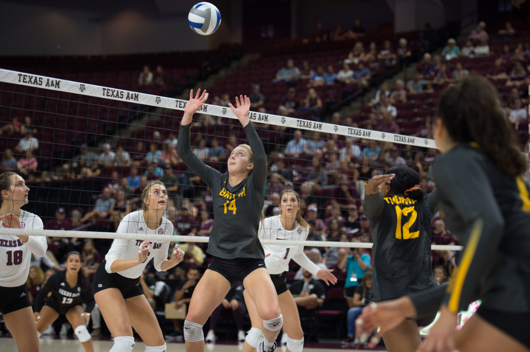 Chilled To Perfection: Cool Confidence Aids Baylor Volleyball's ...