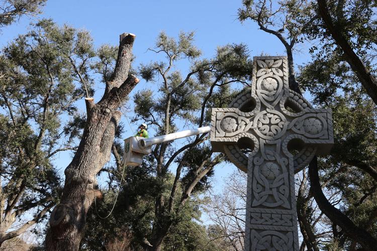 Oakwood Cemetery trees find new life in furniture 