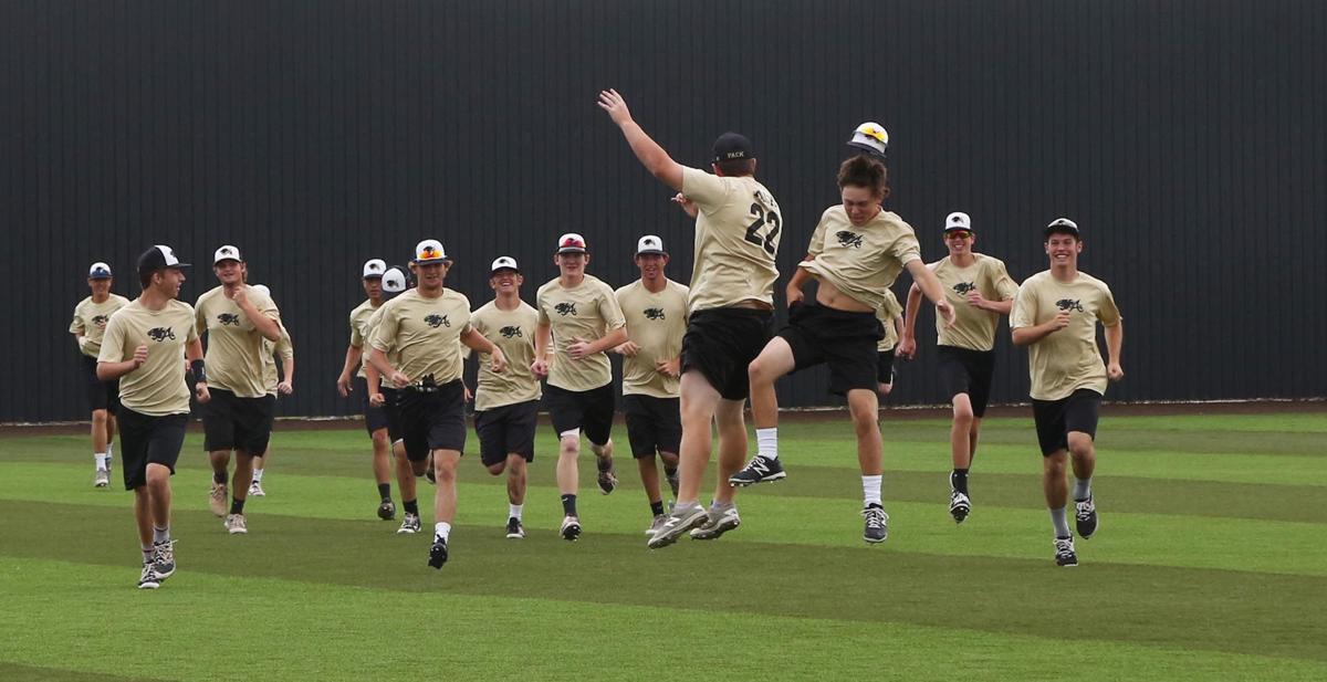 Baseball fever in Abbott Panthers on brink of first state title