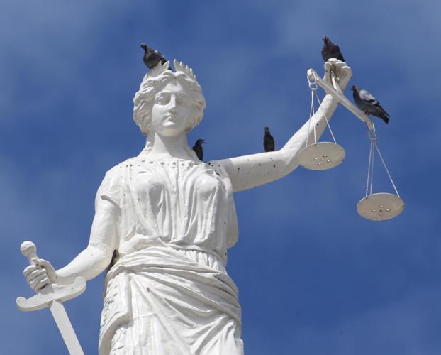 bird themis