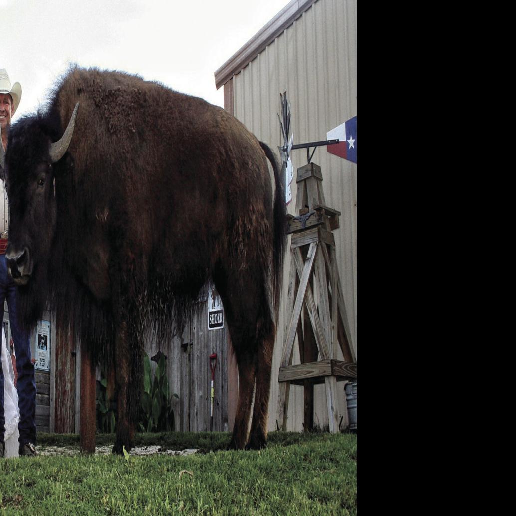 World S Largest House Pet Quinlan Couple Allows Domesticated