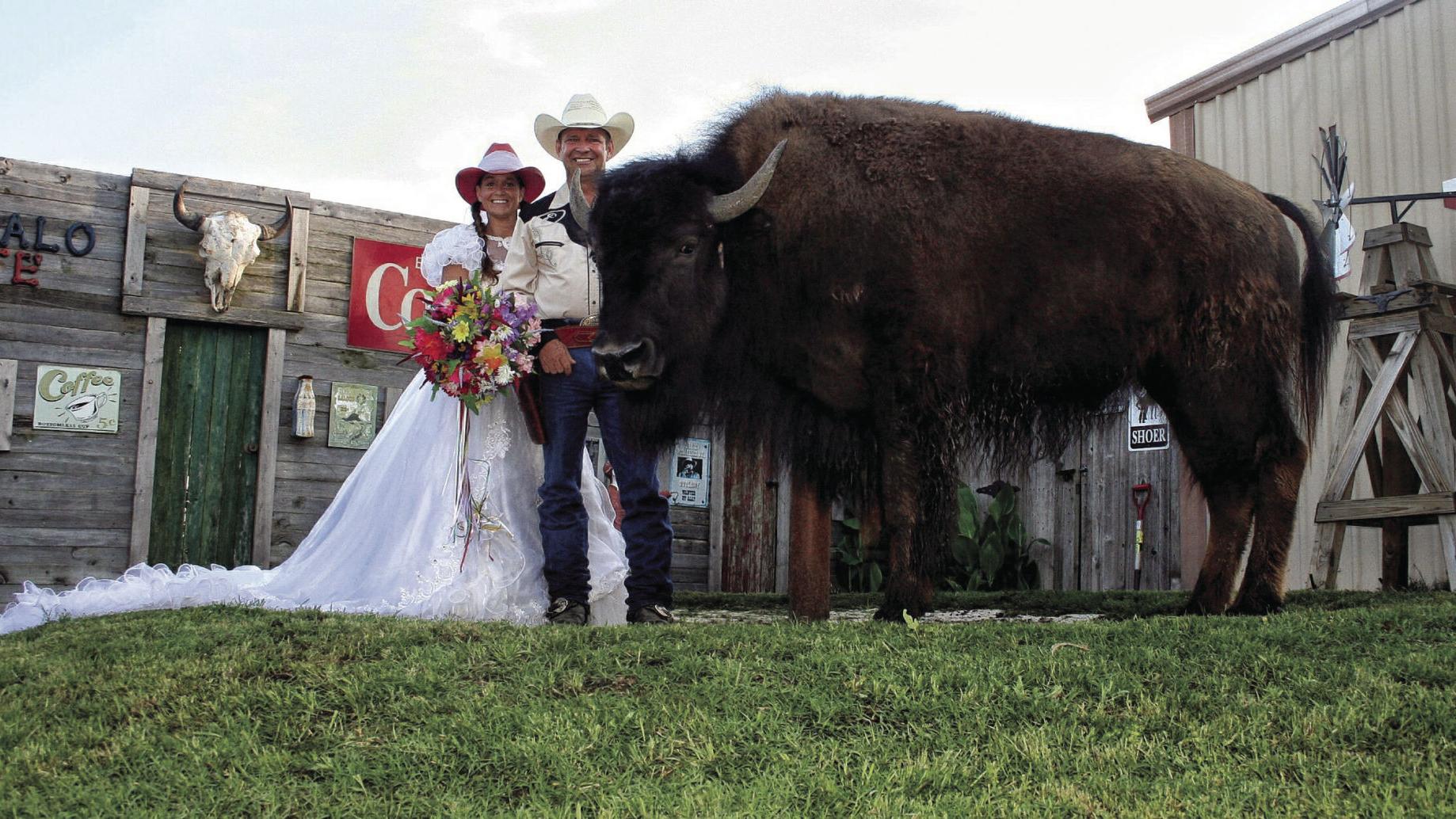 World S Largest House Pet Quinlan Couple Allows Domesticated Bison Into Their Home Waco Today Wacotrib Com