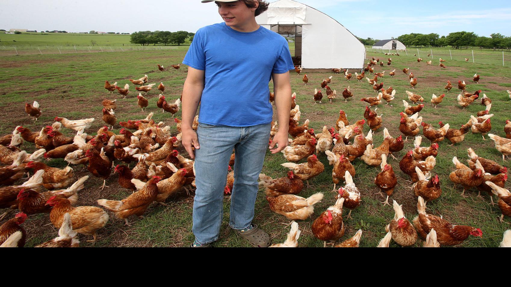 Egg Man Making Hay During Coronavirus Business News Wacotrib Com
