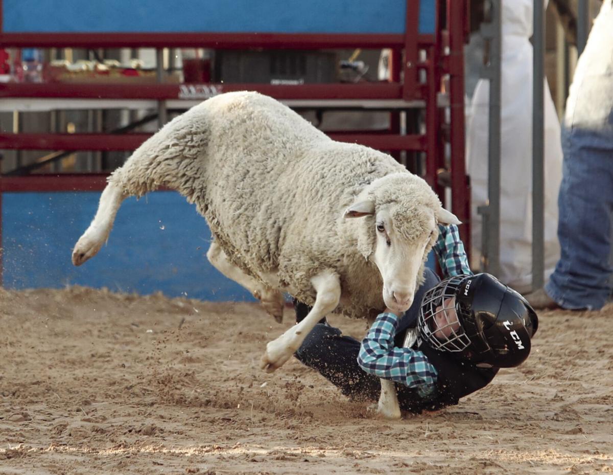 Mutton bustin