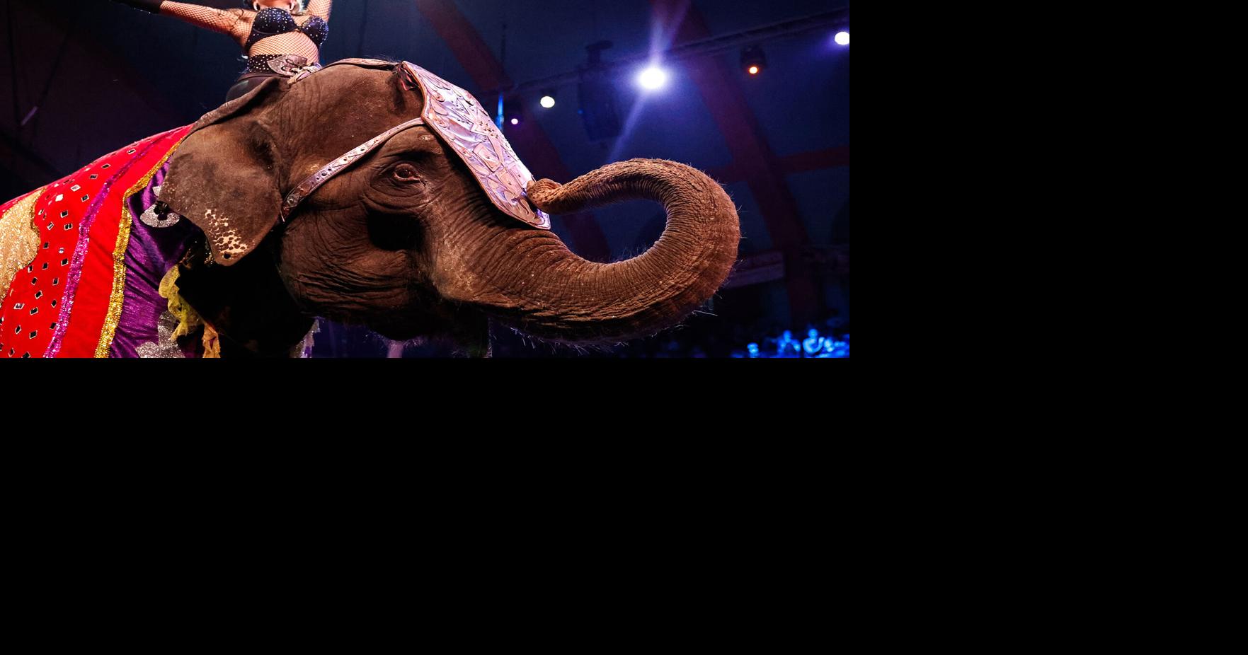 Carden Circus rolls jumps swings into Waco at Extraco Events Center