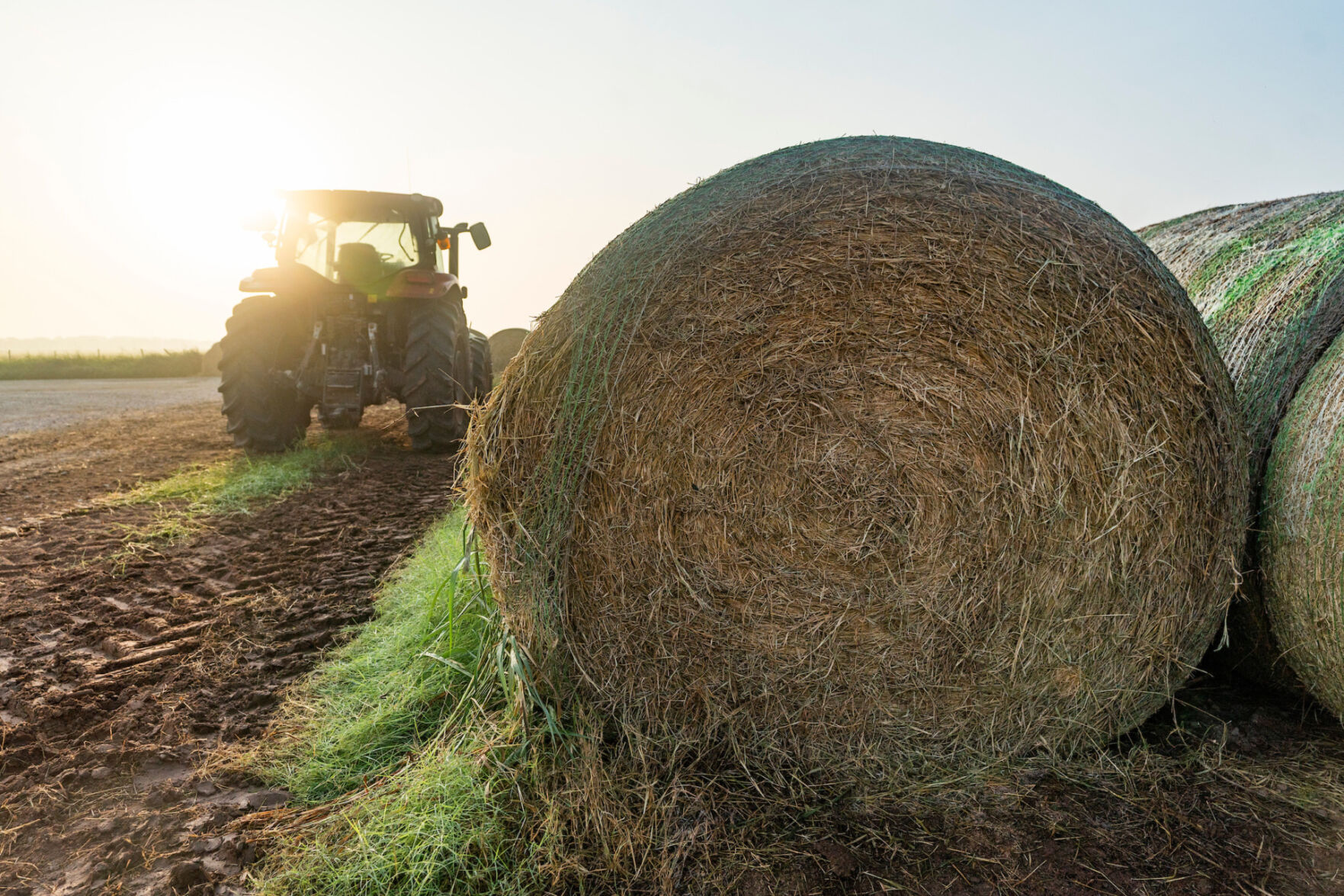 Hay supplies remain tight for Texas cattle producers