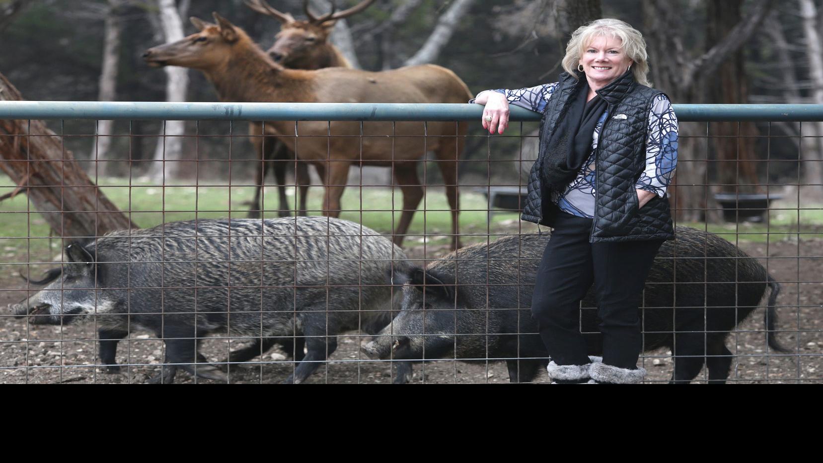 On Safari In Lorena Karen Keith Has Variety Of Exotic