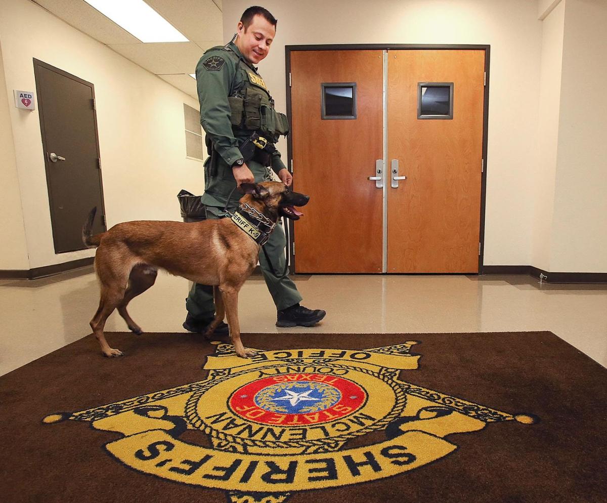 Sheriff’s office K9 handler reprimanded over dog training techniques