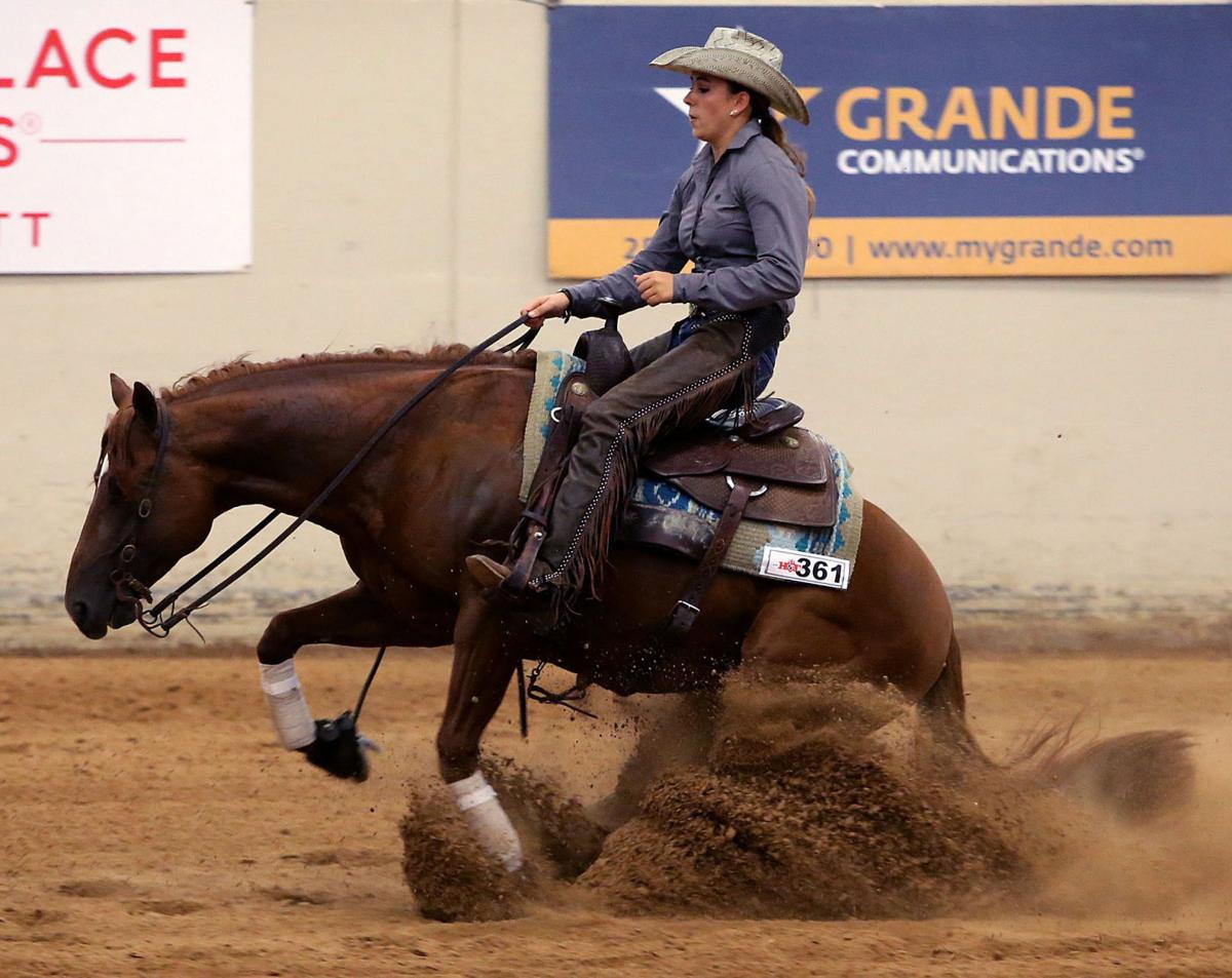 reining (copy)