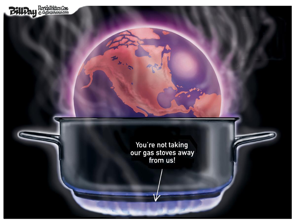 Alan Northcutt The gas stove controversy