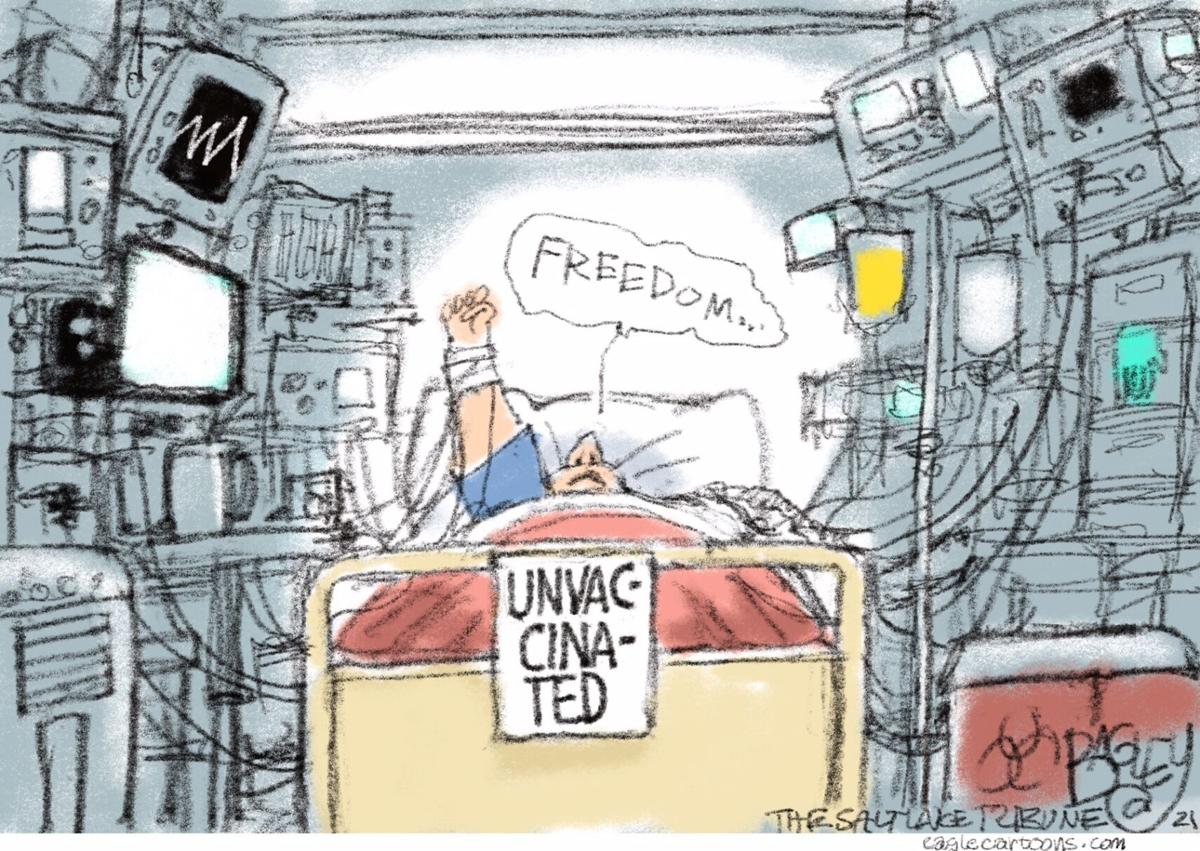 Freedom toon