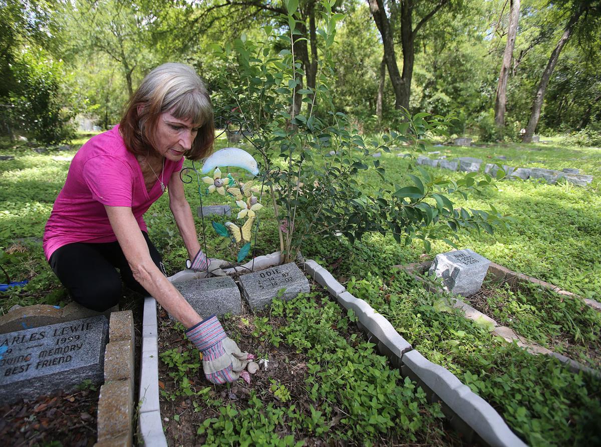 Sleepy Hollow Pet Cemetery offers place to remember lost companions