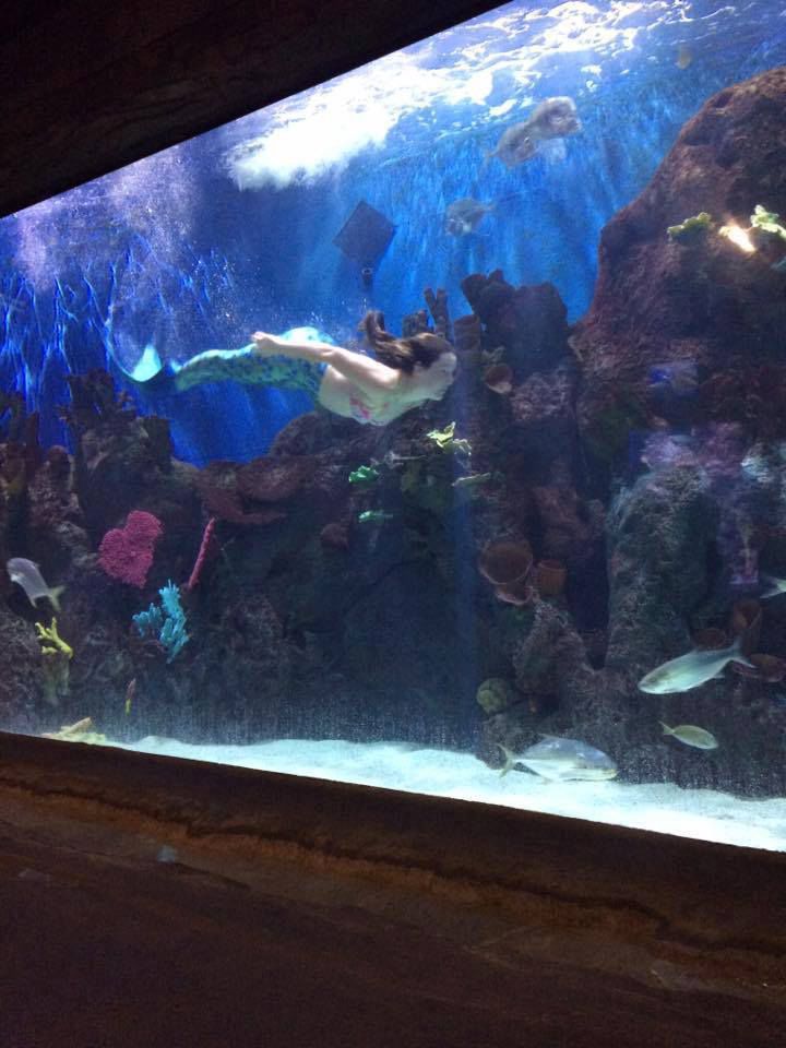 Mermaids returning to Cameron Park Zoo aquarium City Of Waco