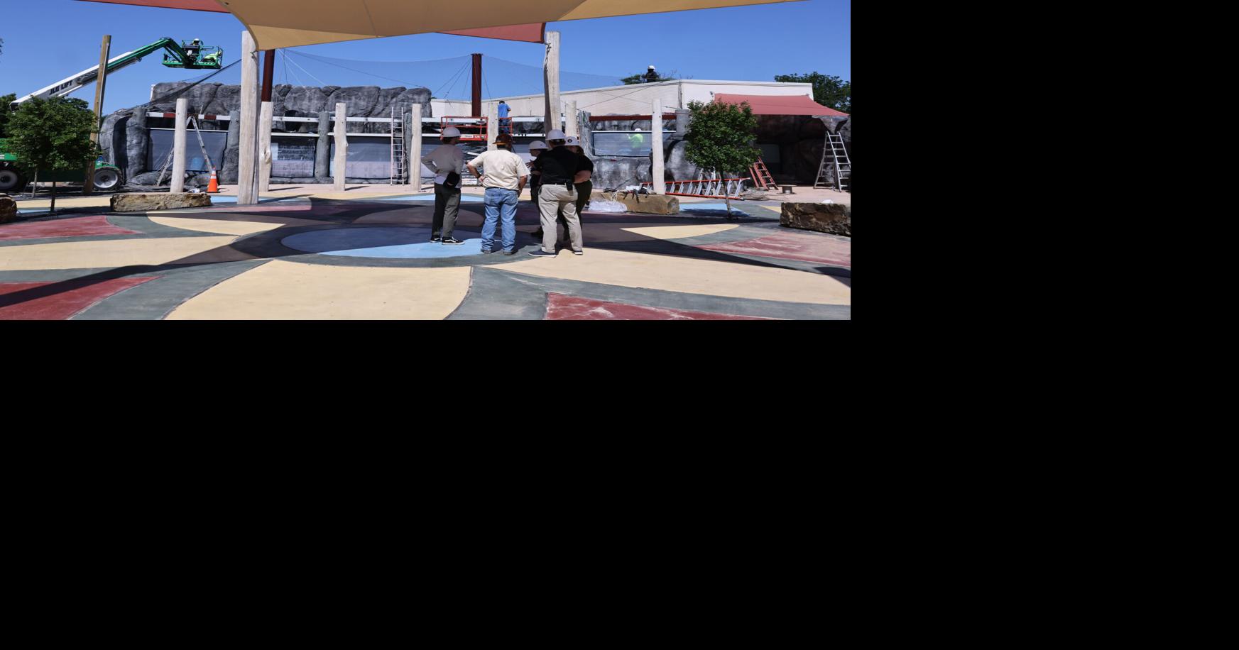 Cameron Park Zoo penguins could welcome visitors in August