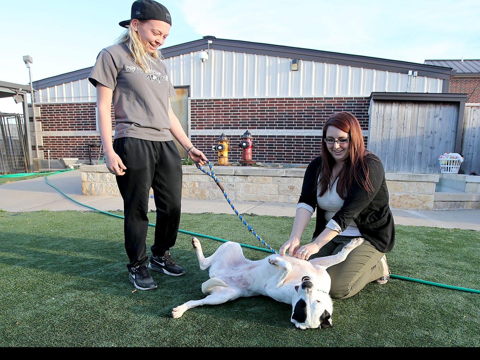 Hewitt Animal Shelter To Close After Donors Face Financial Trouble Local News Wacotrib Com
