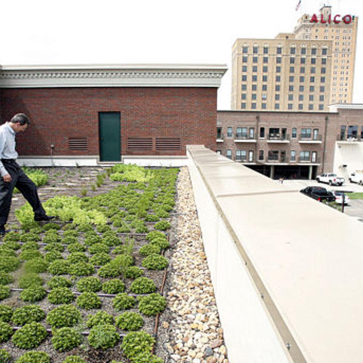 Roof Garden Leading Way For Green Efforts Waco News Latest Headlines Wacotrib Com