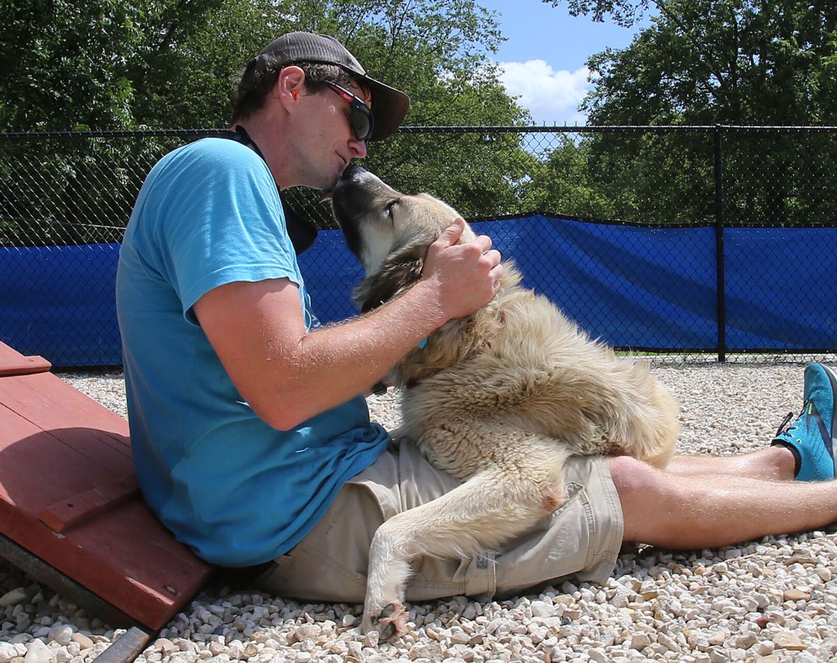animal shelter
