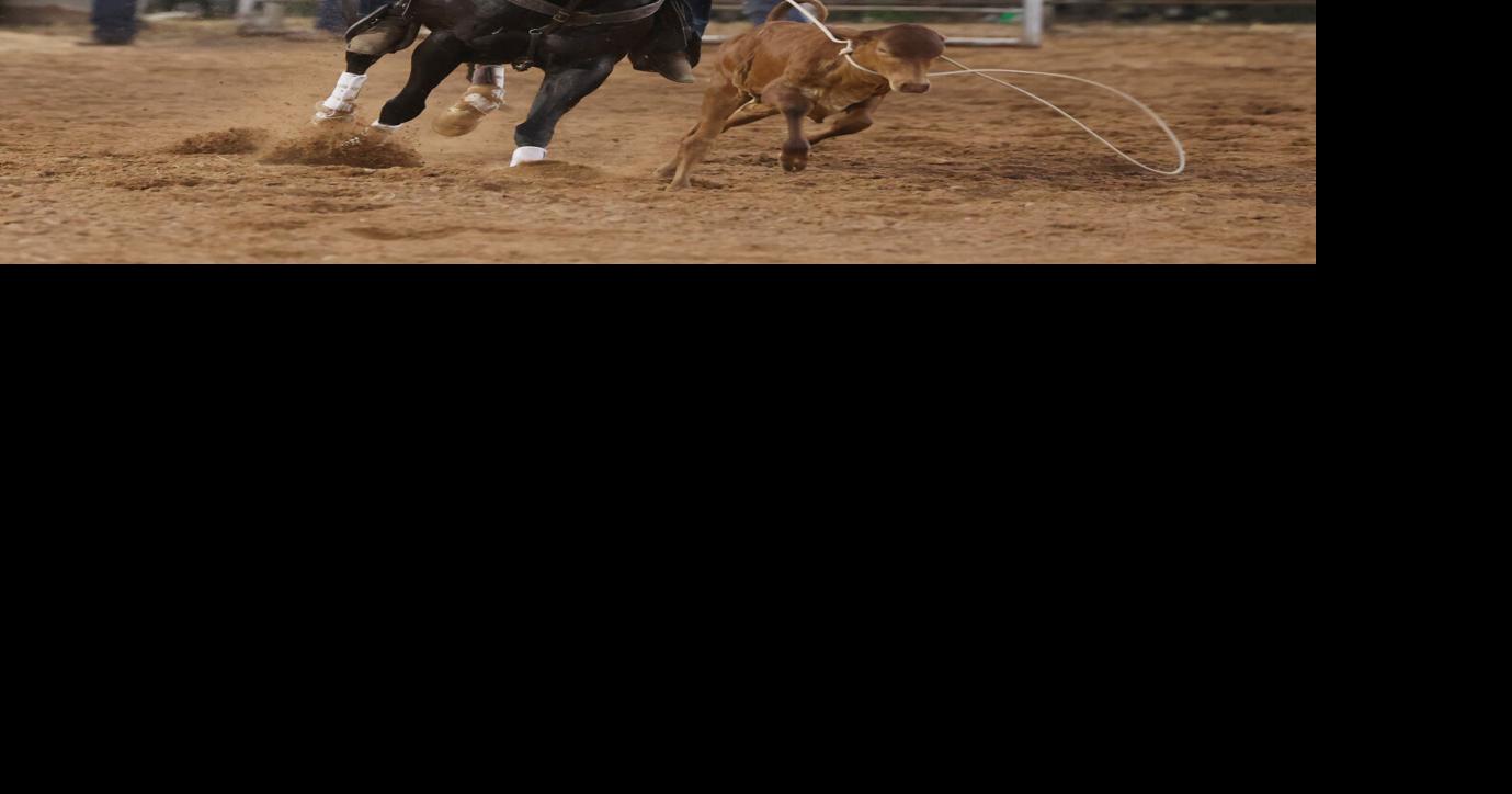 PHOTOS: 79th annual West Fair & Rodeo