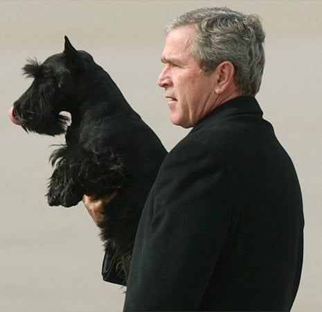 George W. Bush in Central Texas 2000-2009