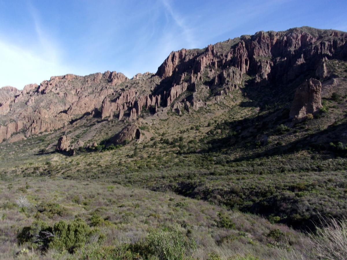 Whitaker - Big Bend