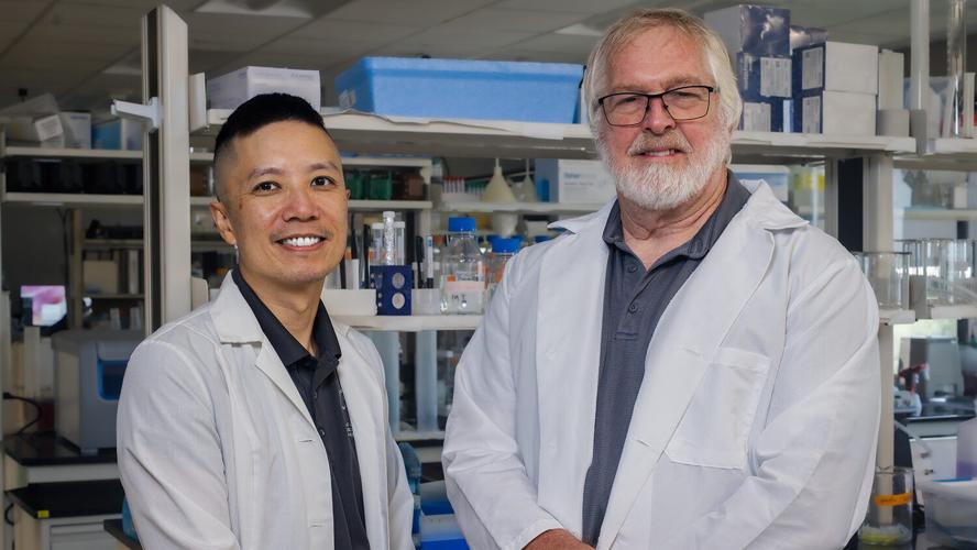 Tiny molecules may help slow pancreatic cancer growth