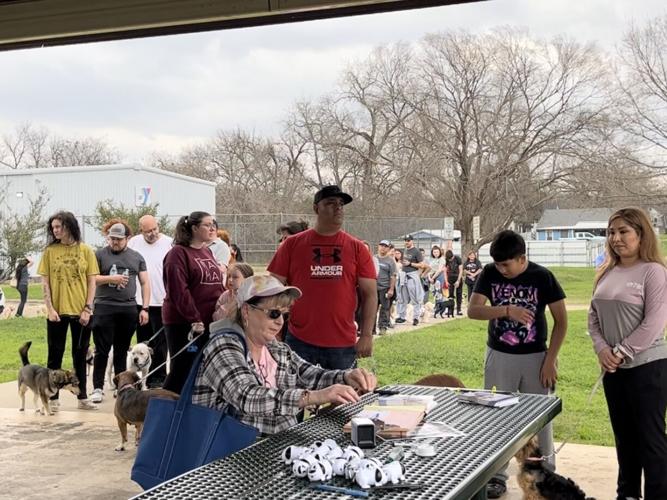 City of Waco sees success in first onestop animal popup clinic