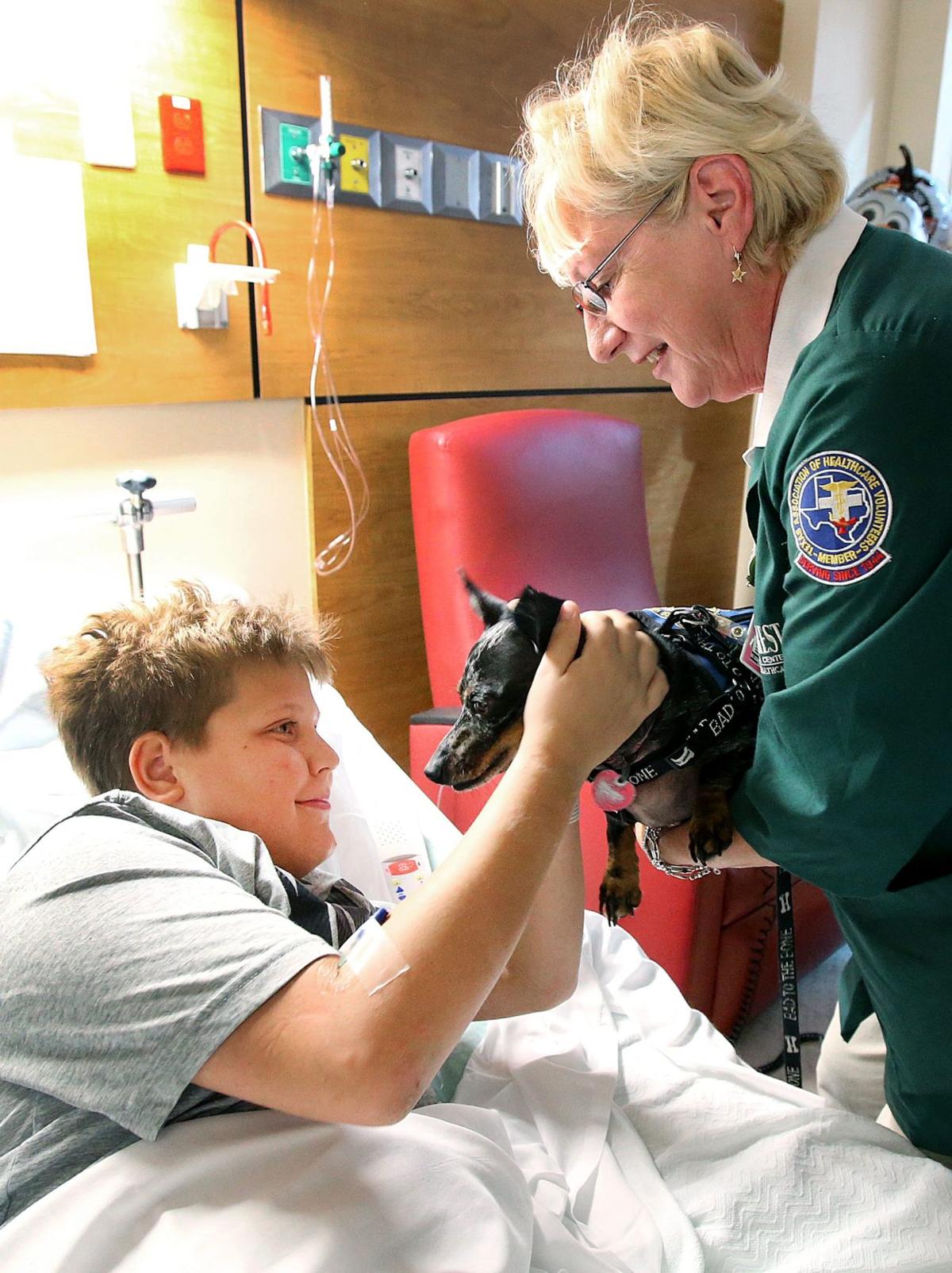 Therapy Dogs Provide Comfort To Area Hospital Patients Local
